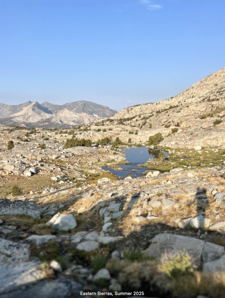 screenshot 2025 10 26 at 8.05.35 pm