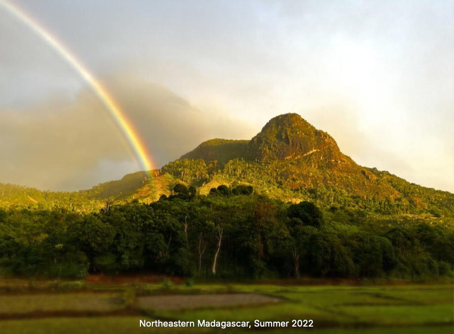 screenshot 2025 10 26 at 8.07.08 pm