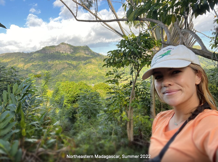 screenshot 2025 10 26 at 8.08.23 pm