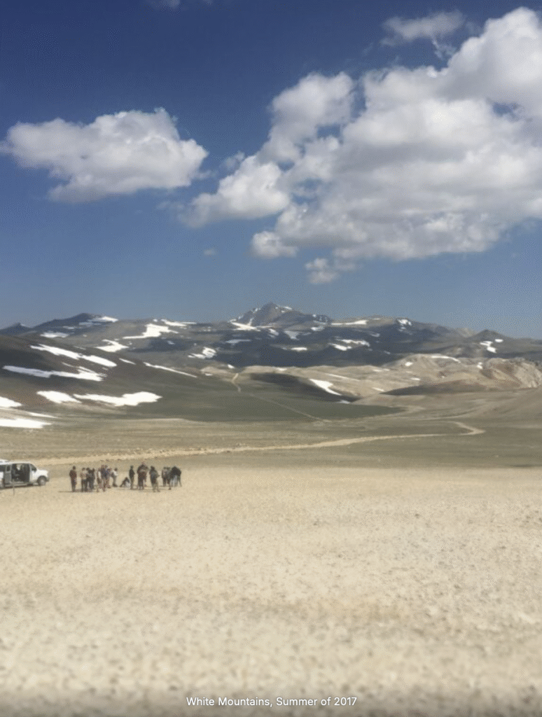 screenshot 2025 10 26 at 8.08.30 pm