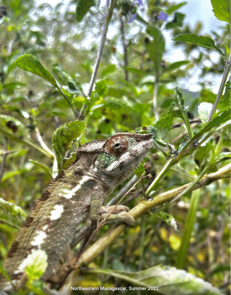 screenshot 2025 10 26 at 8.09.54 pm