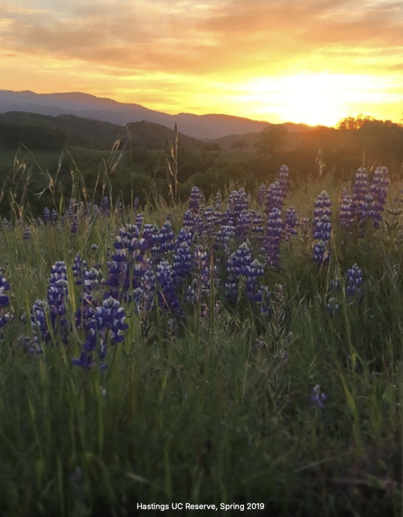 screenshot 2025 10 26 at 8.09.59 pm