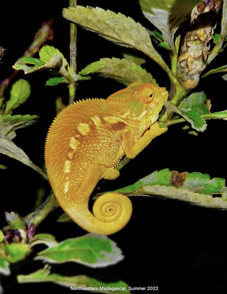 screenshot 2025 10 26 at 8.10.08 pm