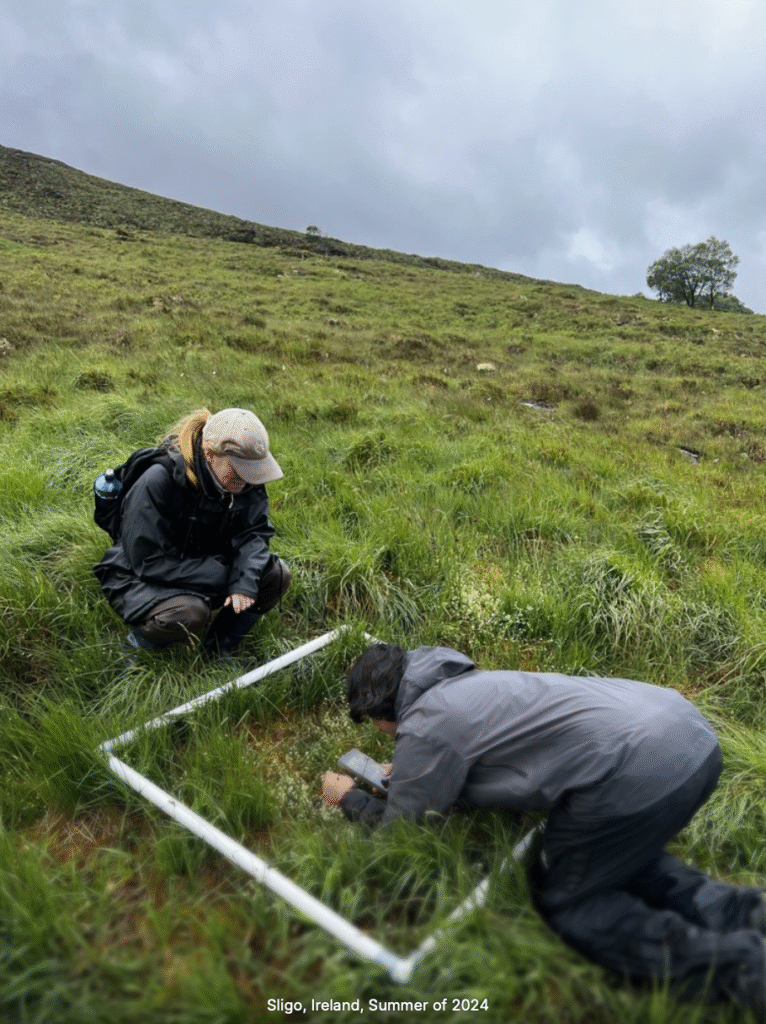 screenshot 2025 10 26 at 8.11.26 pm