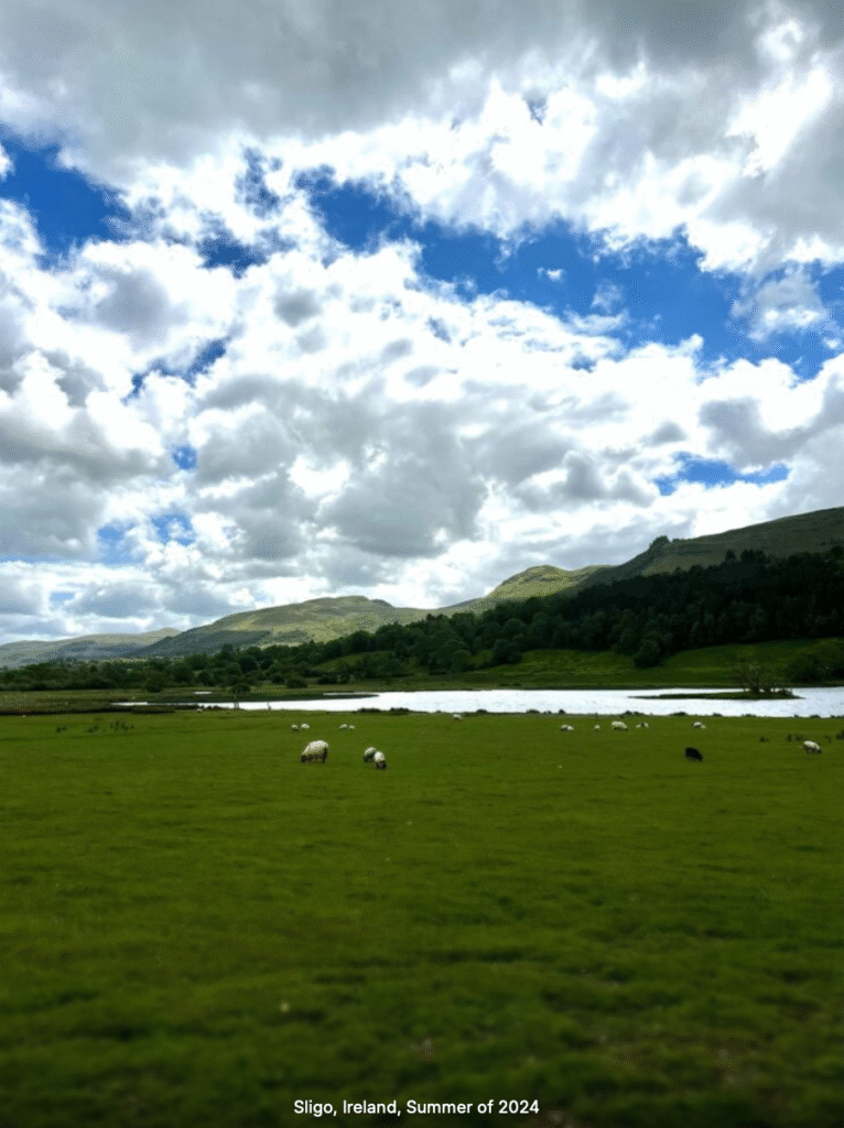 screenshot 2025 10 26 at 8.11.42 pm