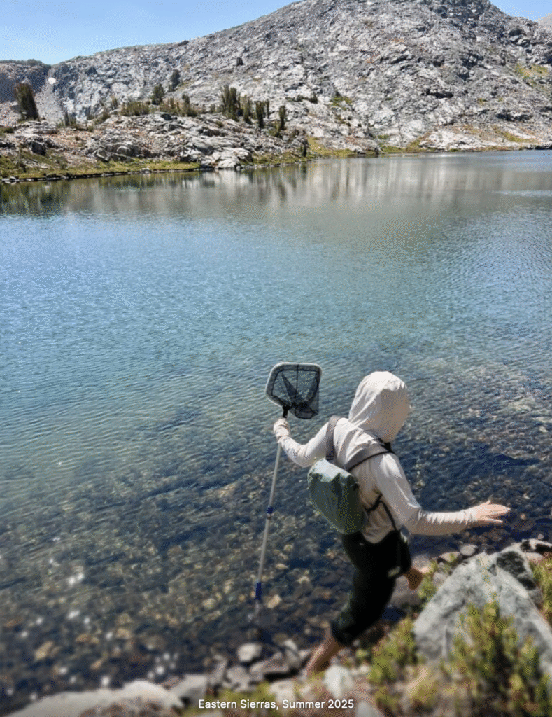 screenshot 2025 10 26 at 8.13.04 pm