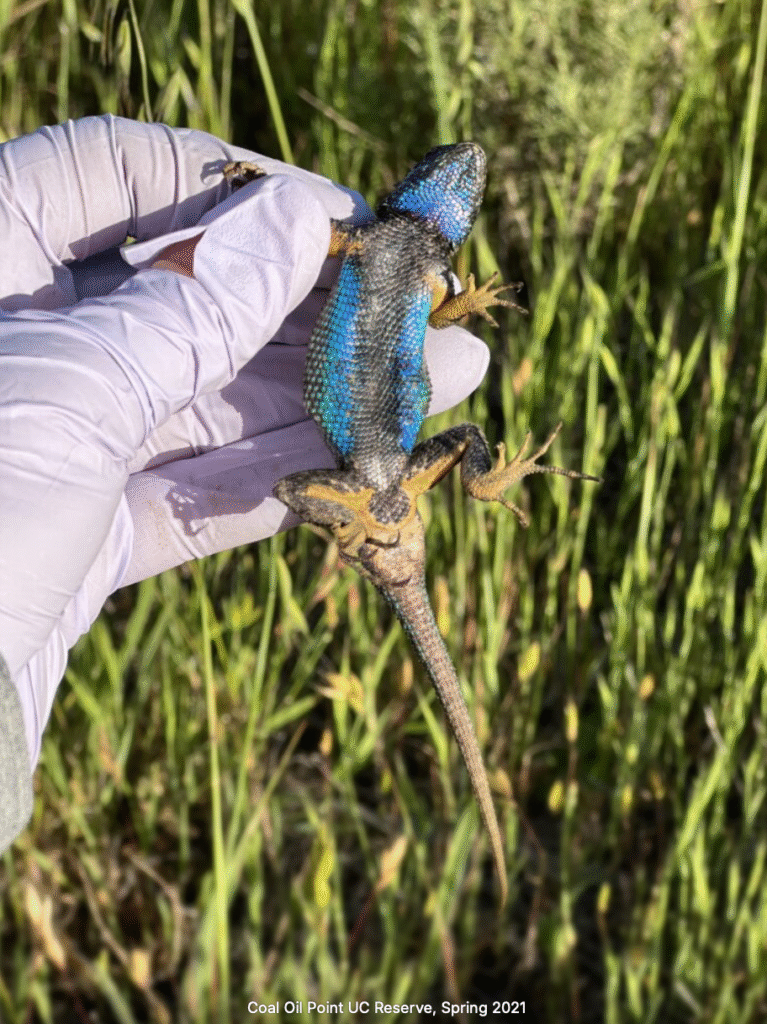 screenshot 2025 10 26 at 8.13.20 pm