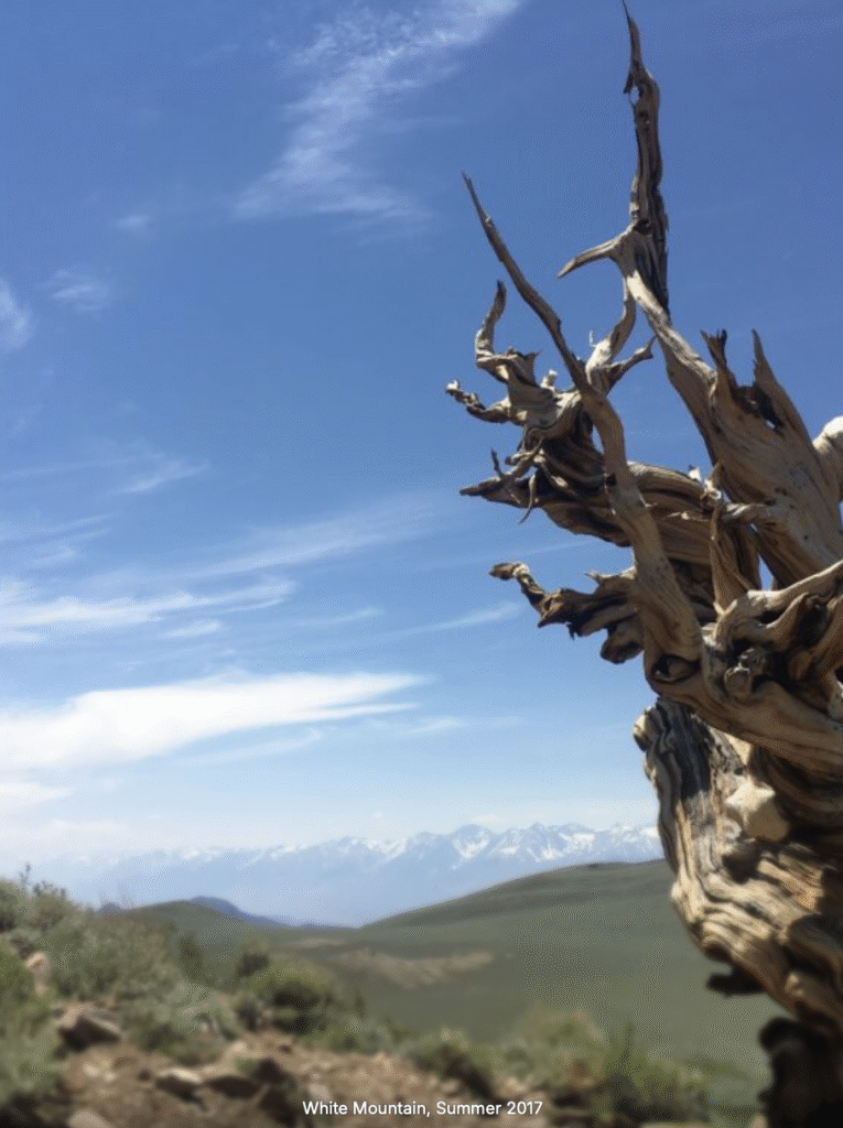 screenshot 2025 10 26 at 8.13.27 pm