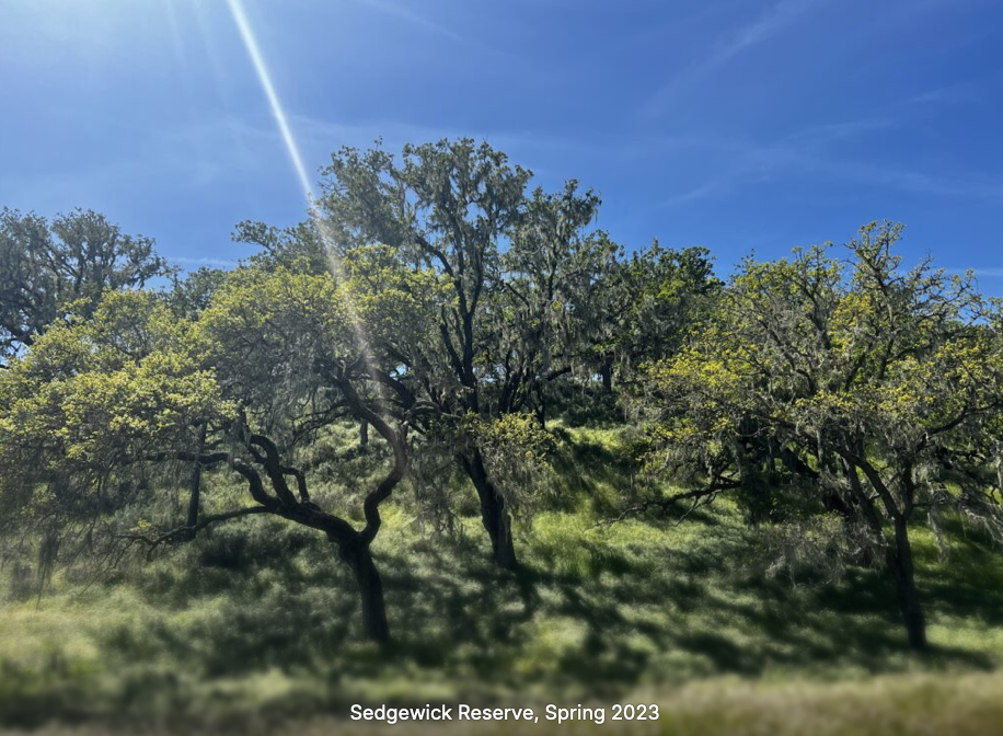 screenshot 2025 10 26 at 8.13.36 pm