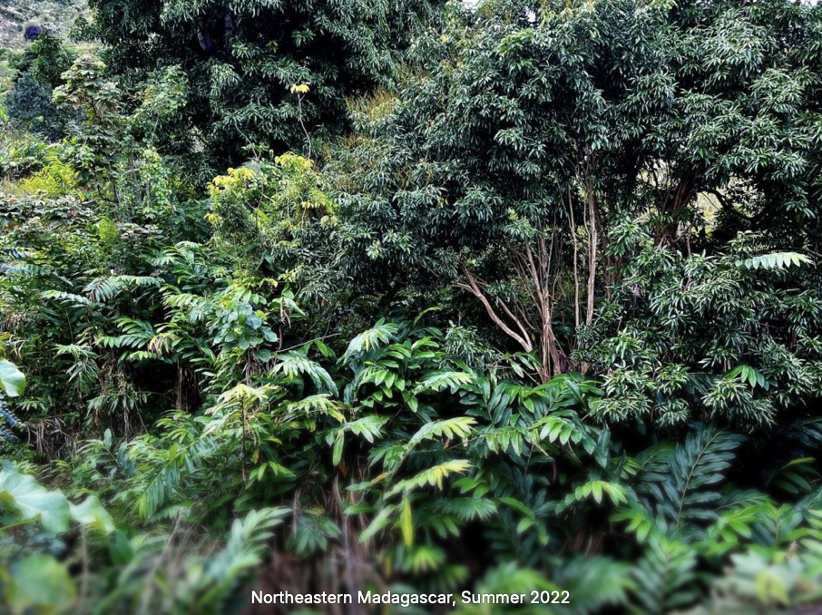 screenshot 2025 10 26 at 8.15.40 pm