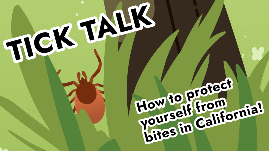 ucsbtick thumbnail v1.mp4